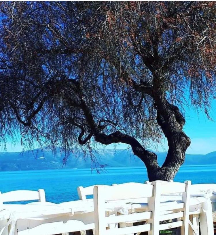 הוילה Agii Dimitrios ke Panteleimon Eratous Seaside House מראה חיצוני תמונה