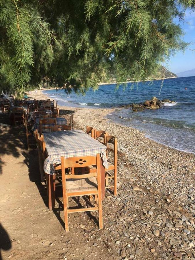 הוילה Agii Dimitrios ke Panteleimon Eratous Seaside House מראה חיצוני תמונה