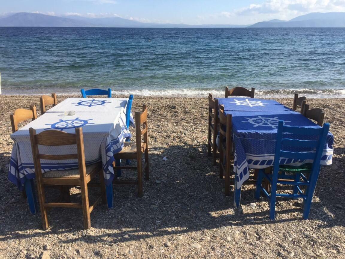 הוילה Agii Dimitrios ke Panteleimon Eratous Seaside House מראה חיצוני תמונה