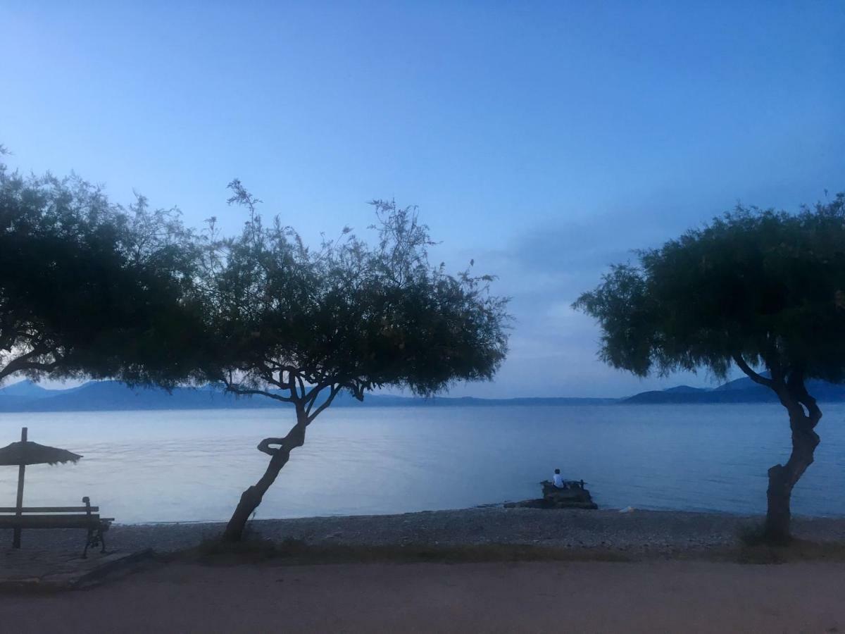 הוילה Agii Dimitrios ke Panteleimon Eratous Seaside House מראה חיצוני תמונה