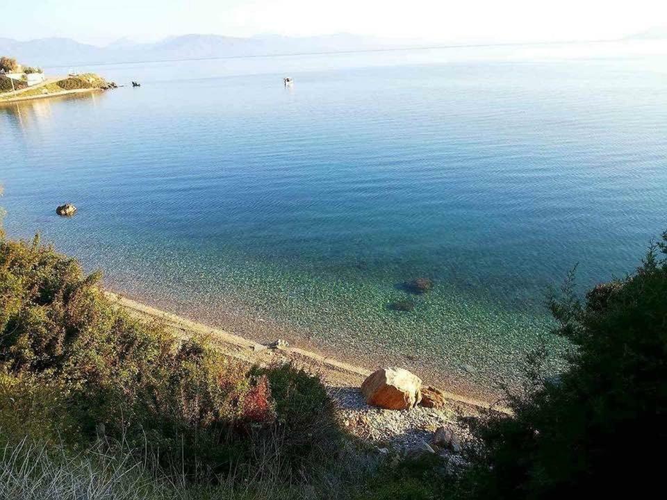 הוילה Agii Dimitrios ke Panteleimon Eratous Seaside House מראה חיצוני תמונה