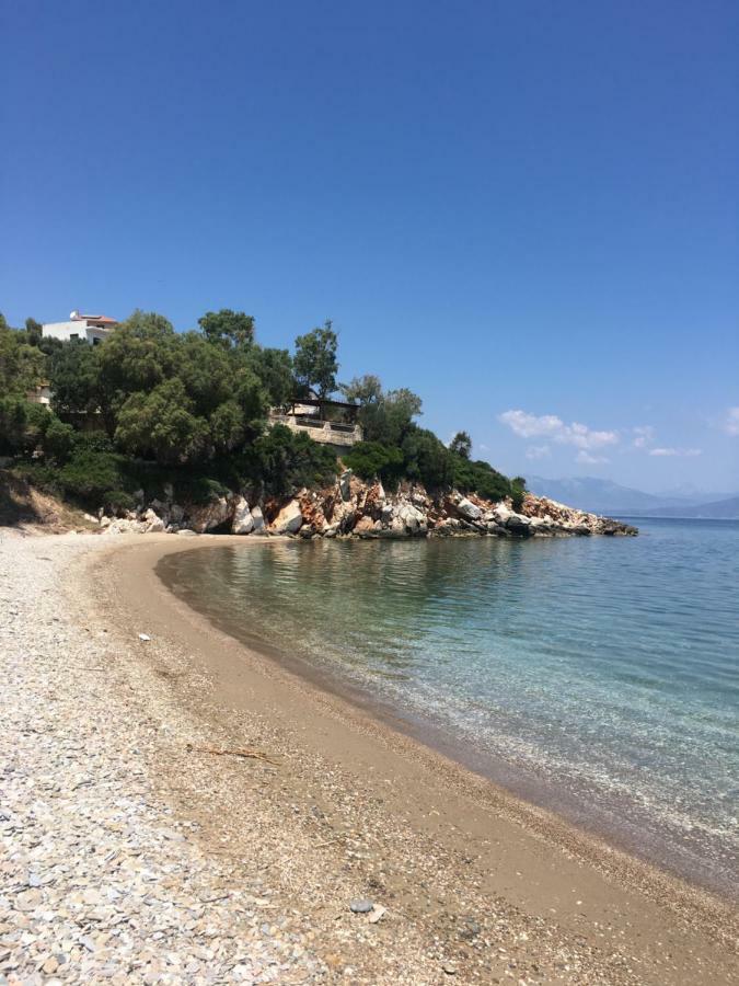 הוילה Agii Dimitrios ke Panteleimon Eratous Seaside House מראה חיצוני תמונה