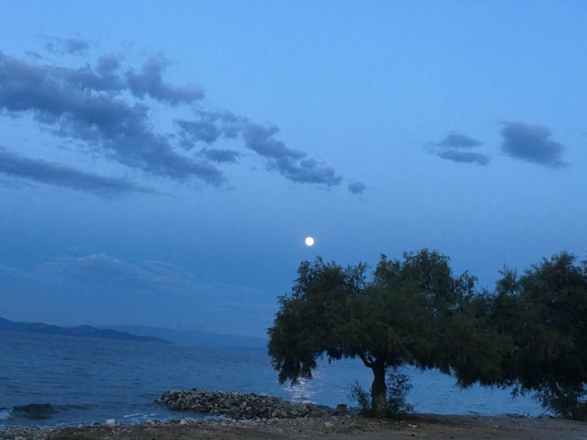 הוילה Agii Dimitrios ke Panteleimon Eratous Seaside House מראה חיצוני תמונה
